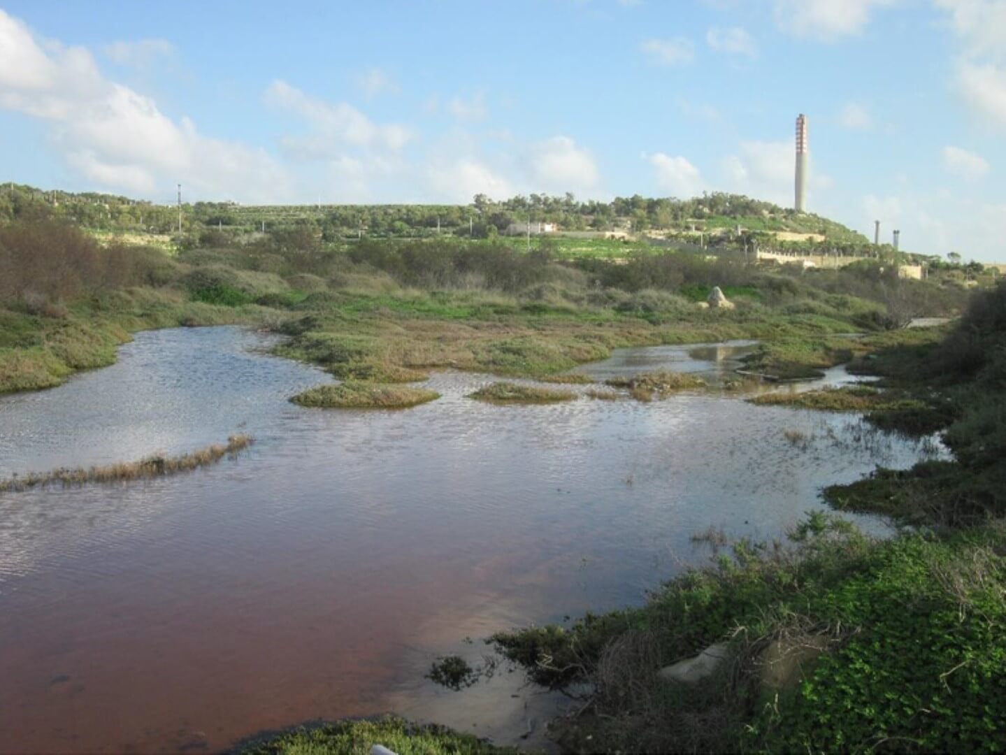 Restoration of one of the coastal wetlands