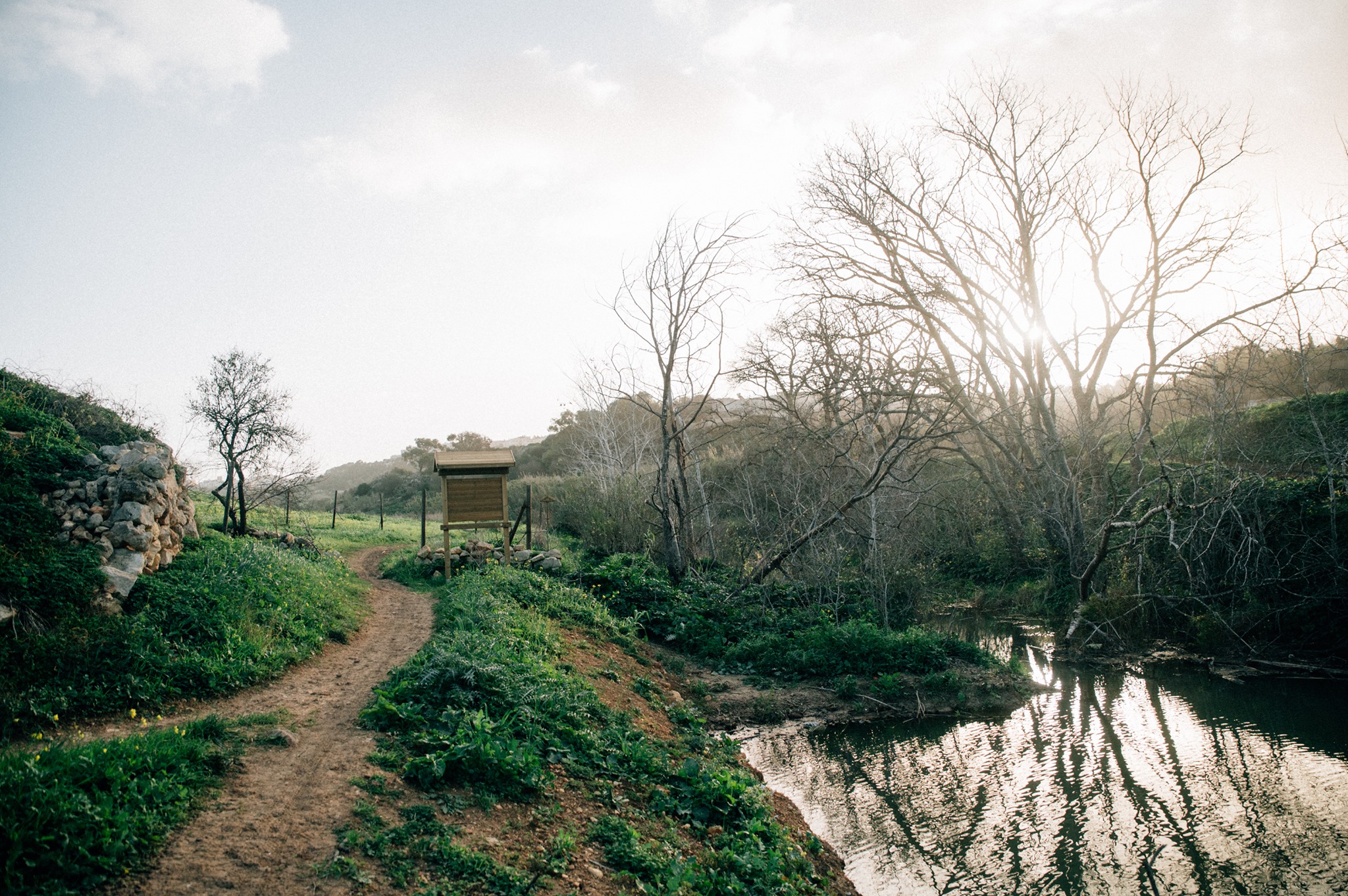  Joint Statement by The Energy and Water Agency and Nature Trust Malta-FEE