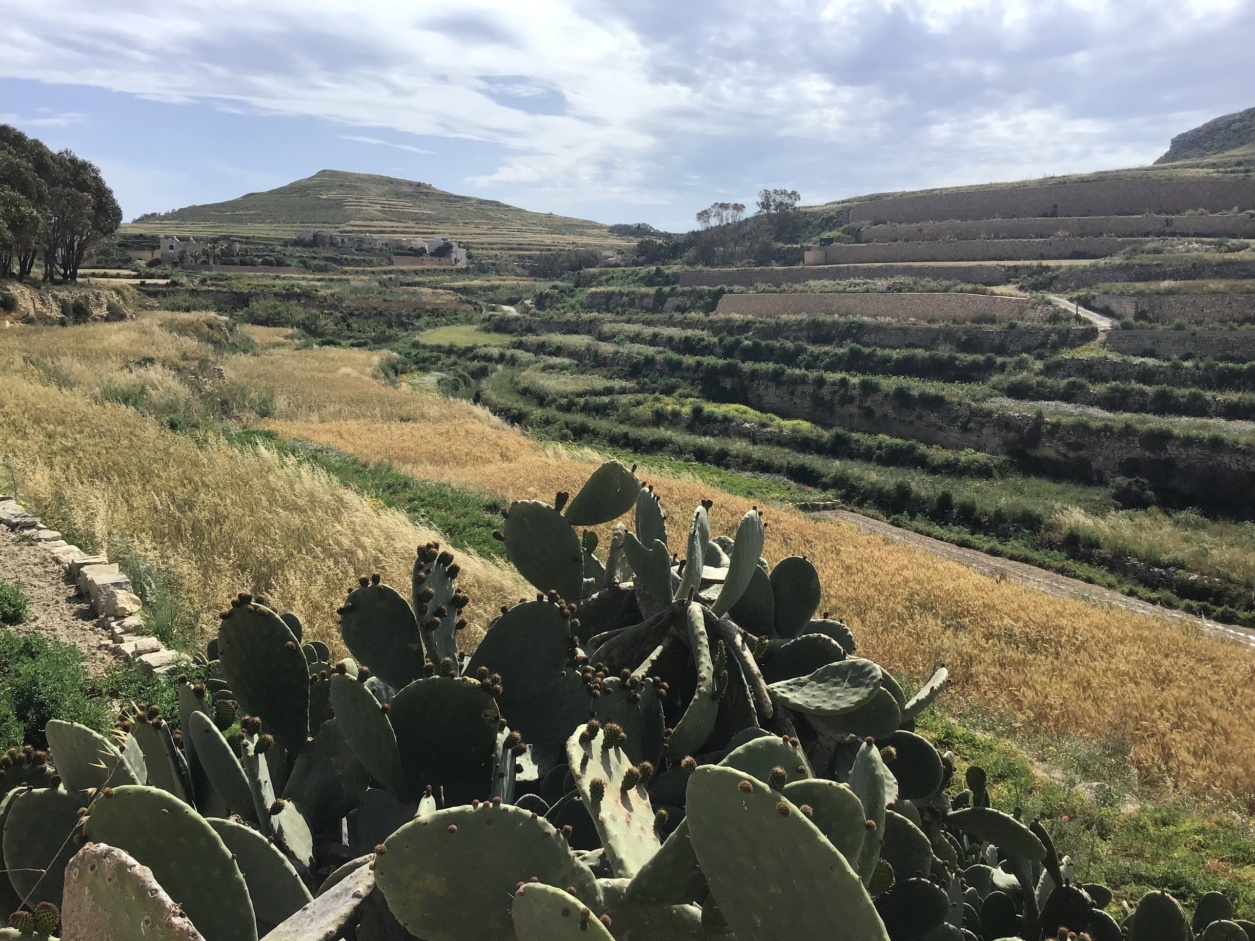 Launch of Online Platform of Environmental Data on Valley Catchments 