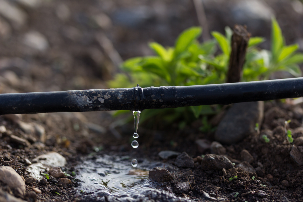 The Assessment of the Sectoral Water Demand in the Maltese Islands 