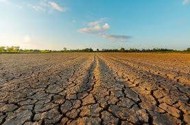 Malta Faces Growing Drought Challenges