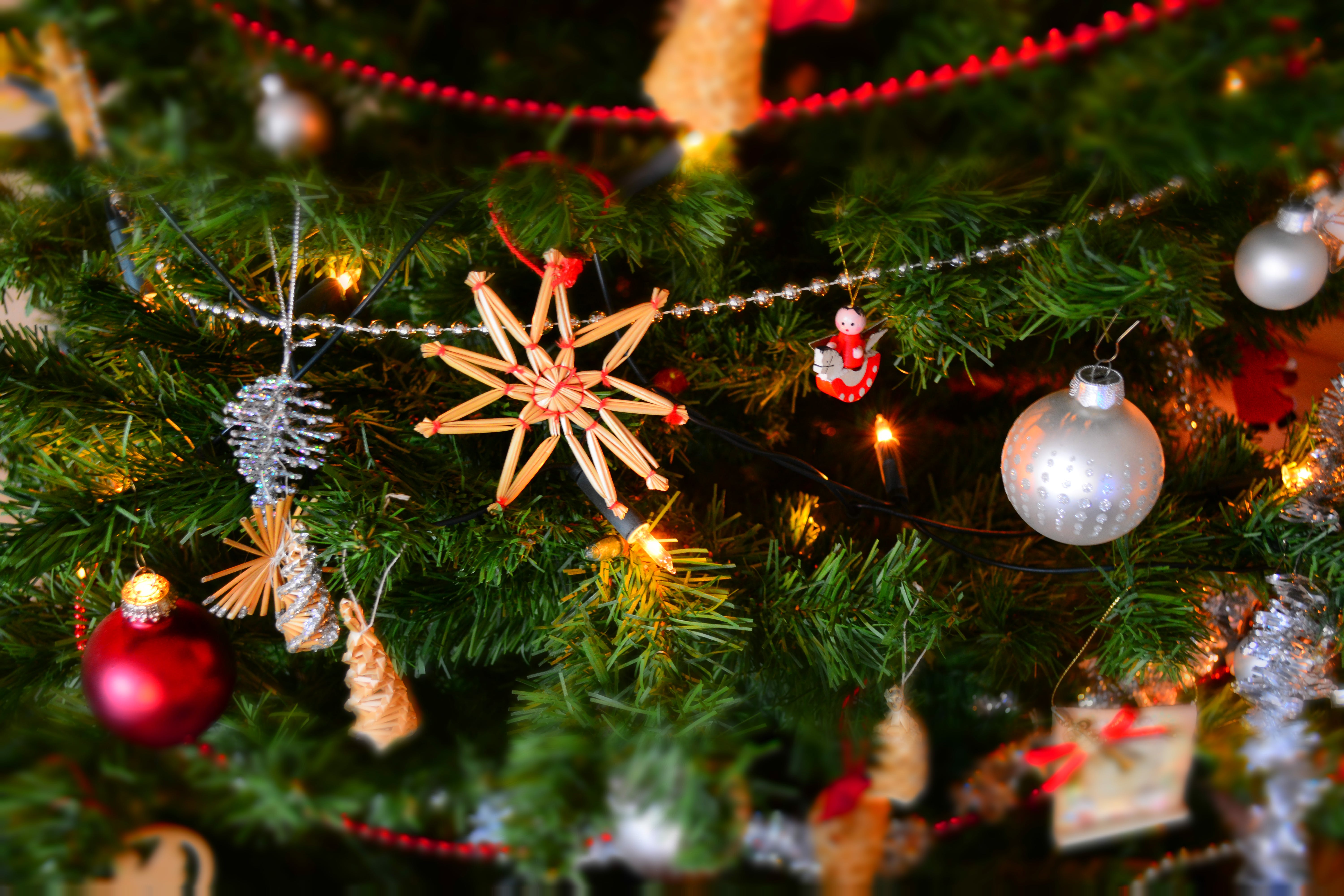 Deck the Halls with Water Savings: A Festive Guide to Sustainable Celebrations
